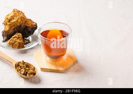 Thé de guérison à base de champignons de bouleau chaga dans une tasse de verre. Alcool organique antioxydant fond gris. Le concept de nutrition saine et de style de vie. Hori Banque D'Images