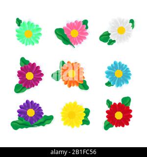 Diverses couleurs réalistes des daisies ou gerbera avec des feuilles isolées sur blanc Illustration de Vecteur