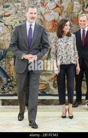 Madrid, Espagne. 25 février 2020. ***PAS D'ESPAGNE*** le roi Felipe et la reine Letizia assistent À Des Audiences royales au palais de Zarzuela à Madrid, en Espagne, le 25 février 2020. Crédit: Jimmy Olsen/Media Punch/Alay Live News Banque D'Images