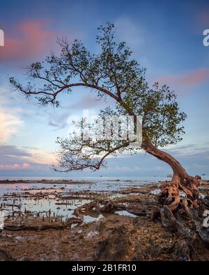 Magnifiques photos de paysage à Batam Binlan Island Indonésie Banque D'Images