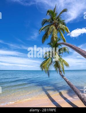 Magnifiques photos de paysage à Batam Binlan Island Indonésie Banque D'Images