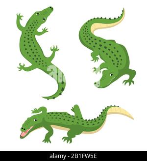 Les alligators verts définissent un vecteur animal sauvage isolé Illustration de Vecteur