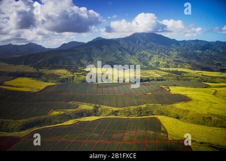 États-Unis - 2005 - vue aérienne des champs d'ananas à Oahu Hawaï États-Unis Banque D'Images