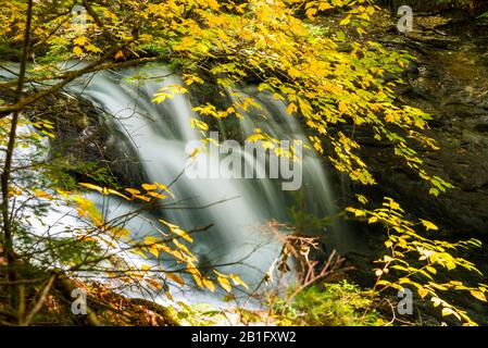 Belle chute d'eau avec une branche colorée en premier plan sur un matin ensoleillé d'automne Banque D'Images