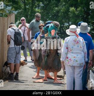 Deux personnes vêtues de canards avec des visiteurs célébrant le dixième anniversaire de l'Aqueduct de Pontcysyllatte devenant un site du patrimoine mondial Banque D'Images