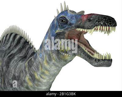 Suchomimus était un dinosaure carnivore théropodes qui vivait au Niger, en Afrique, pendant la Période du Crétacé. Banque D'Images