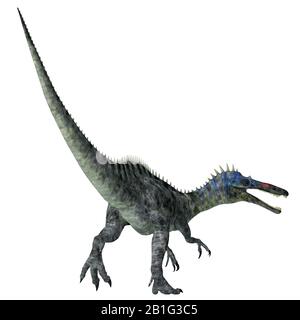 Suchomimus était un dinosaure carnivore théropodes qui vivait au Niger, en Afrique, pendant la Période du Crétacé. Banque D'Images