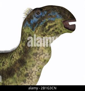 Tenontosaurus était un dinosaure herbivore ornithopodes qui vivait en Amérique du Nord pendant la Période du Crétacé. Banque D'Images