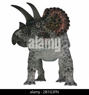 Triceratops était un dinosaure herbivore Ceratopsien qui vivait en Amérique du Nord pendant la Période du Crétacé. Banque D'Images