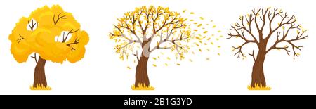 Arbre d'automne. Les feuilles jaunes tombent, les arbres avec des feuilles tombées et l'illustration vectorielle de la mouche des feuilles oranges Illustration de Vecteur
