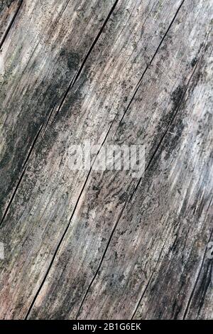 Vieille planche à l'eau aux tons marron, gris et noir. Belle texture de surface rustique, inégale et sale qui peut être utilisée comme arrière-plan. Banque D'Images