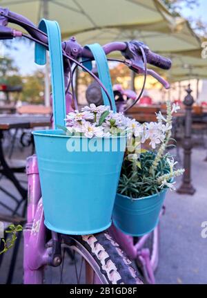 Un gros plan d'un vieux vélo rétro de couleur rose avec un panier de fleurs. Concentrez-vous sur les fleurs. Banque D'Images