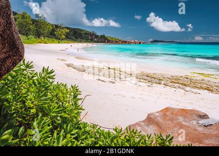 Côte tropicale à l'île de la Digue, Seychelles. Végétation verte luxuriante, océan bleu turquoise sur la longue belle plage de sable Banque D'Images