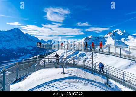 Grindelwald-FIRST, SUISSE - 15 JANVIER 2020: Les touristes prennent des photos sur la Cliff Walk, une plate-forme populaire d'observation sur la première montagne Banque D'Images