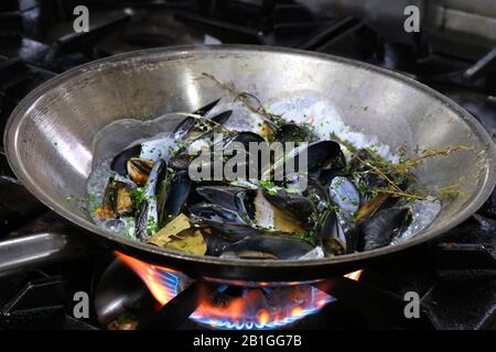 moules cuites à la vapeur dans une casserole au feu Banque D'Images