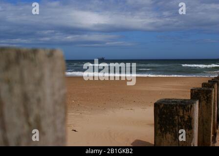 Souches En Bois Sur Aberdeen Beach Banque D'Images