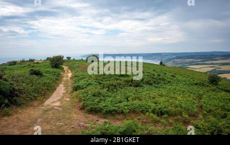 Champs verts sur une colline avec la mer Manche et la campagne anglaise en arrière-plan. Golden Cap sur la côte jurassique à Dorset, Royaume-Uni. Photo avec Banque D'Images