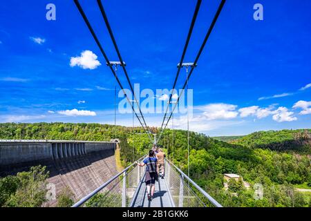 Vue sur le pont suspendu dans le parc national Harz Mountains, Allemagne Banque D'Images