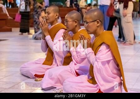 Des religieuses bouddhistes priant à Shwedagon Paya, Yangon, Myanmar Banque D'Images