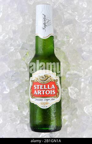 Irvine, CA - 11 JANVIER 2015 : une bouteille de bière Stella Artois sur un lit de glace. Stella est brassée à Leuven, en Belgique, depuis 1926, et lancée comme Banque D'Images