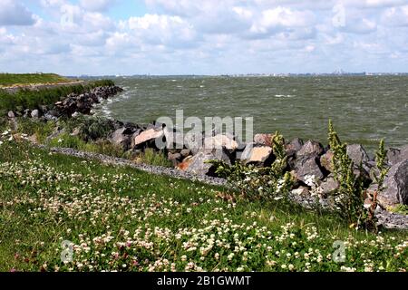 Ijsselmeer, Pays-Bas Banque D'Images