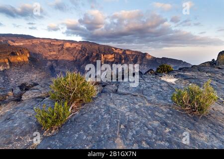 Paysage Jabal Shams le matin, Oman Banque D'Images