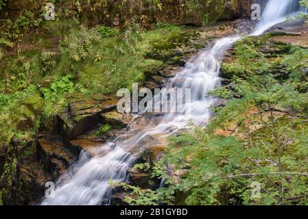 Chute d'eau de la rivière Kamienczyk - la plus haute chute d'eau dans les montagnes géantes polistiques Banque D'Images