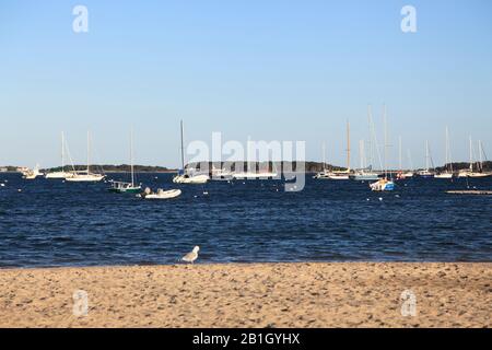 Veterans Memorial Park Beach, Lewis Bay, Hyannis, Cape Cod, Massachusetts, Nouvelle-Angleterre, États-Unis Banque D'Images