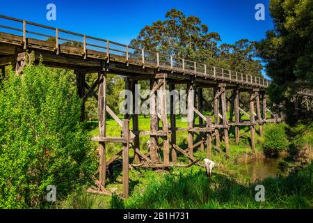 Timboon Rail Trestle Bridge À Victoria, Australie Banque D'Images