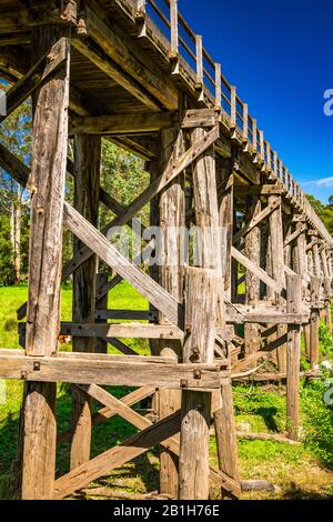 Timboon Rail Trestle Bridge À Victoria, Australie Banque D'Images