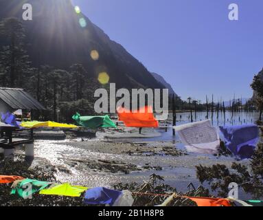 paysage pittoresque d'un lac madhuri partiellement gelé ou d'un lac sangetsar tso (lac sangestar tso) avec des troncs d'arbres morts, à tawang, arunachal pradesh, inde Banque D'Images