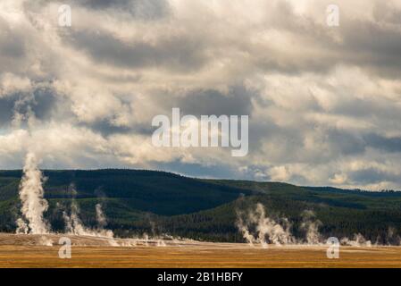 Champs dorés avec geysers à vapeur et montagnes boisées verdoyantes. Banque D'Images