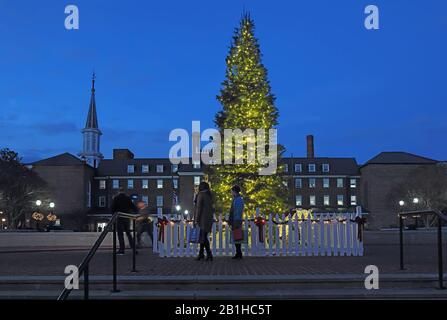 Les clients marchent devant un arbre de Noël sur Market Square sur King Street, l'une des principales artères de la vieille ville Banque D'Images