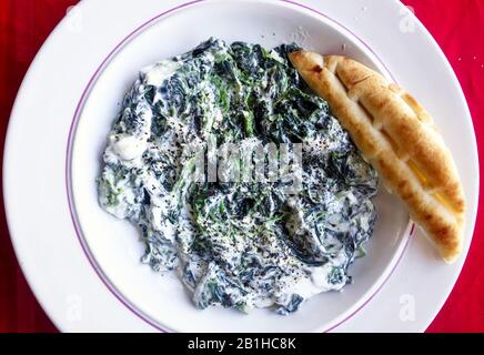 Meze Turc - Borani Esfenaj. Sauce Aux Épinards Et Au Yaourt Banque D'Images