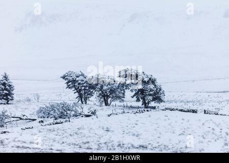 Paysage D'Hiver, North Pennines, Upper Teesdale, Comté De Durham, Royaume-Uni Banque D'Images