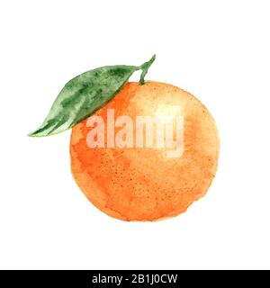 Orange avec feuille, illustration d'aquarelle isolée sur fond blanc, élément de conception d'emballage. Banque D'Images