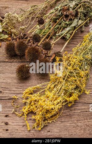 Collection de plantes et bouquets d'herbes sauvages. Médecine alternative. Pharmacie naturelle, concept d'auto-soins. Vieux fond de planches en bois, près de u Banque D'Images