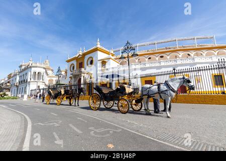 Des calèches à cheval attendent devant l'entrée de l'arène de taureaux de Séville, Andalousie, Espagne. Banque D'Images