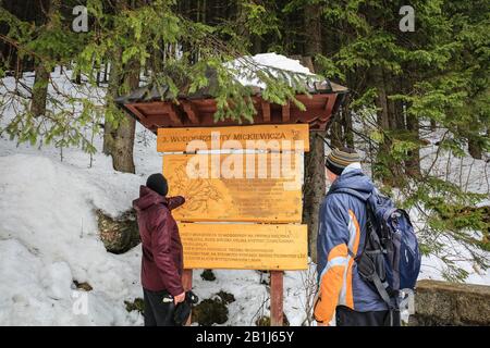 Zakopane, Pologne, 31 Janvier 2020. Cascades éducatives en bois de Mickiewicz dans les montagnes Tatra, Zakopane. Crédit: Waldemar Sikora Banque D'Images