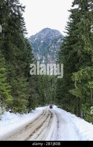 Zakopane, Pologne, 31 Janvier 2020. Route Vers Le Lac Morskie Oko Dans Les Montagnes Tatra. Crédit: Waldemar Sikora Banque D'Images