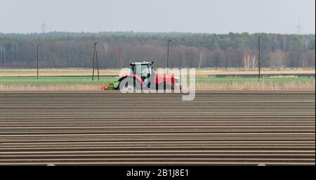 Brandebourg, Allemagne. 25 février 2020. Un champ d'asperges a été aménagé à côté de la route nationale de l' gauche 88 menant à l'Emstal. Les crêtes d'asperges ont été créées mécaniquement à l'aide d'un coupe-arête par tracteur. Après l'accumulation, les barrages sont couverts de feuille, qui a un côté blanc pour le refroidissement et un côté noir pour le chauffage. Photo: Soeren Stache/dpa-Zentralbild/ZB crédit: DPA Picture Alliance/Alay Live News Banque D'Images