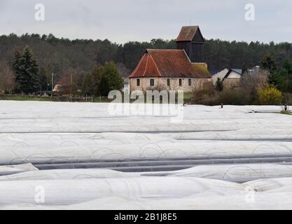 Brandebourg, Allemagne. 25 février 2020. 25 février 2020, Brandenburg, Beelitz/Ot Klaistow: Le sol dans un champ de la ferme d'asperges Klaistow dans le district de Potsdam-Mittelmark est recouvert de feuille d'aluminium. En arrière-plan vous pouvez voir l'église et les maisons du village Kanin. À Beelitz, les asperges poussent sur 1700 hectares, ce qui fait de la région la plus grande zone de culture d'asperges du Brandebourg. Photo: Soeren Stache/dpa-Zentralbild/ZB crédit: DPA Picture Alliance/Alay Live News Banque D'Images