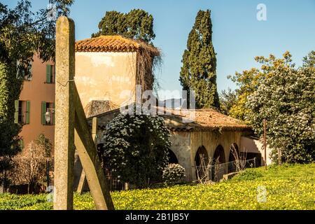 Saint Tropez, vieille blanchisserie, mimosa, tour de temple, paysage - France - Février 2020 - Credit Ilona Barna BIPHOTONEWS Banque D'Images