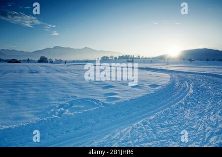 Paysage d'hiver avec les Alpes, Allemagne, Bavière Banque D'Images