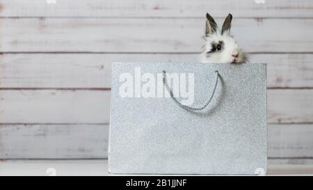 Un petit lapin blanc mignon est placé dans un sac en papier argent. Concept de cadeau et de cadeau, Pâques et Noël Holliday Banque D'Images