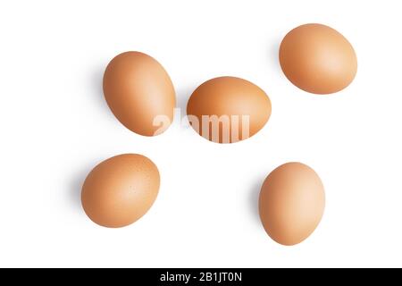 Vue de dessus de cinq oeufs de poulet brun isolés sur fond blanc avec ombre Banque D'Images