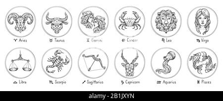 Signes du zodiaque. Sketch Cancer, Scorpion Et Poissons. Taurus, Virgo et Capricorne dessinés à la main. Bélier, Lion Et Sagittaire. Gémeaux, Balance Et Verseau Illustration de Vecteur