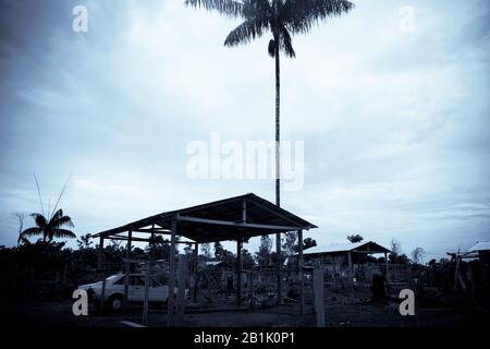 Paysage, Novo Airão, Amazonas, Brésil Banque D'Images