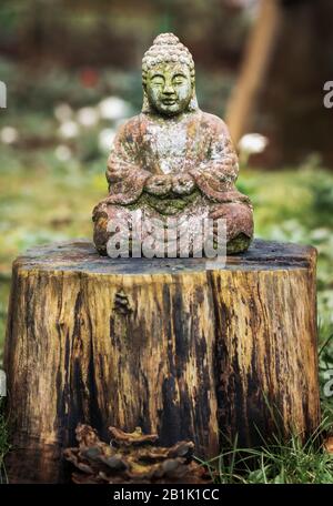 Figurine Zen vieillit Buddah assise sur une bosse d'arbres dans le jardin Banque D'Images