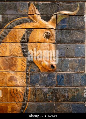 Auroch (taureau). Ishtar gate. Babylone. Neo-Babylone. 604-562 C.-B. Brique Vernie. Irak. Musée Archéoligique D'Istanbul. Turquie. Banque D'Images